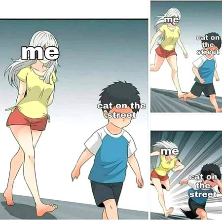 Memes & Satire image