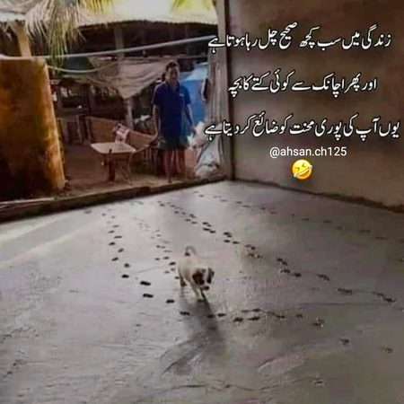 Funny joke