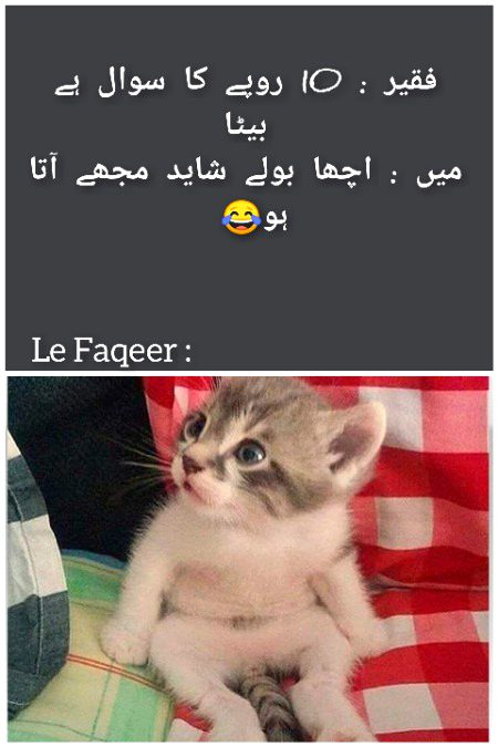 Memes & Satire image