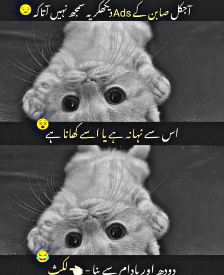 Funny joke