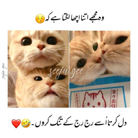 Jokes image