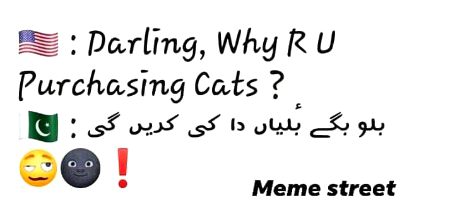 Memes & Satire image