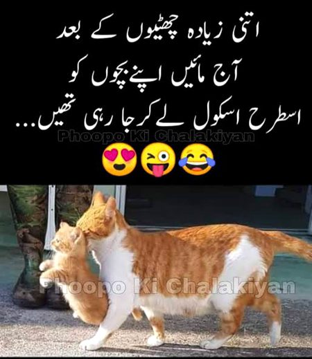 Jokes image