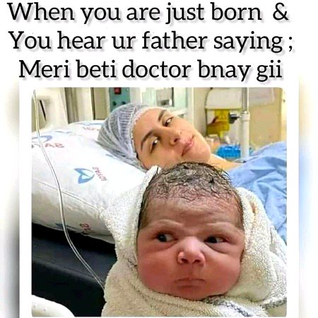 Memes & Satire image