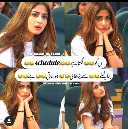 Memes & Satire image