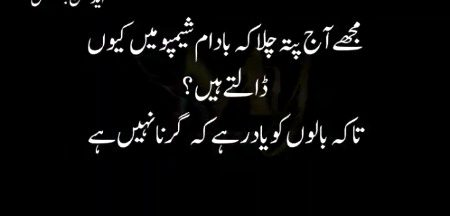 Memes & Satire image