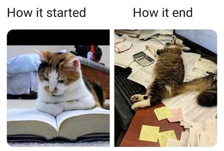 Memes & Satire image