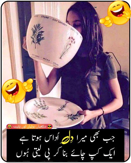 Memes & Satire image