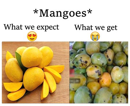 Memes & Satire image