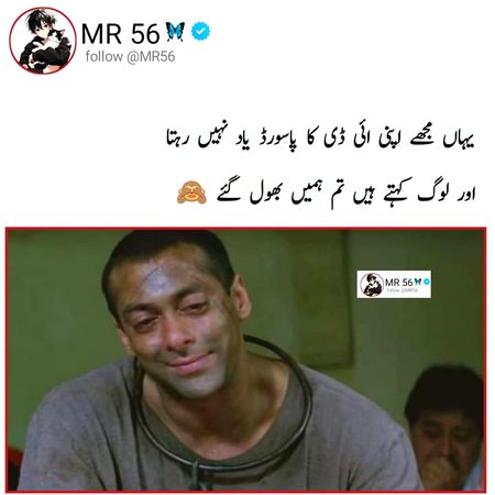 Memes & Satire image
