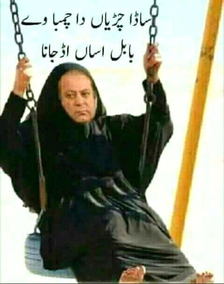 Memes & Satire image