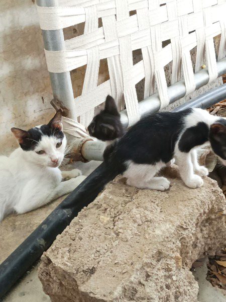 Beautiful Nature image