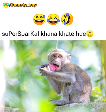 Damadam Roasting image