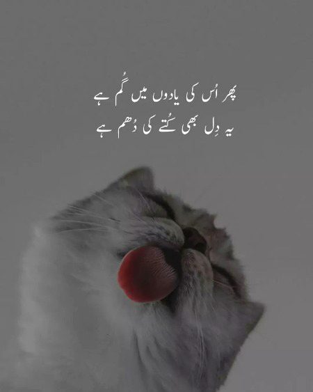 Romantic Poetry image