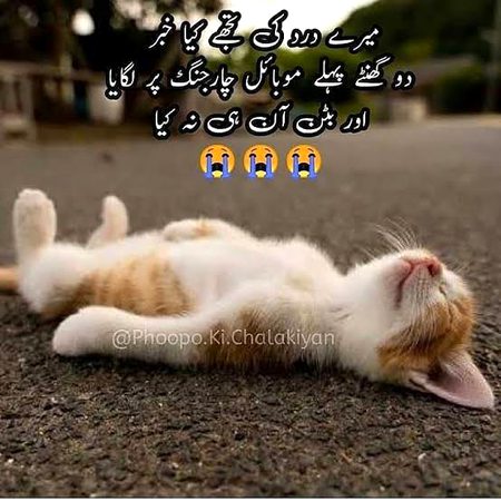 Jokes image