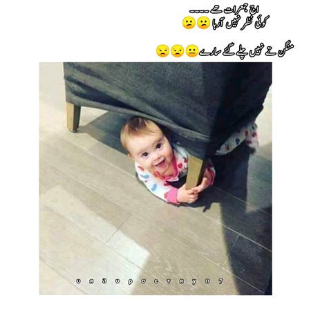 Memes & Satire image