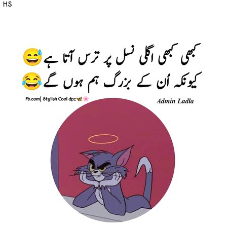 Memes & Satire image