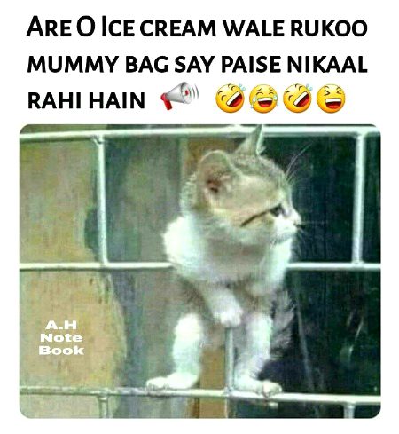 Memes & Satire image