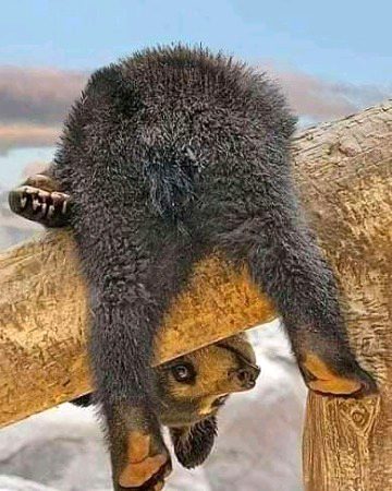 Beautiful Nature image