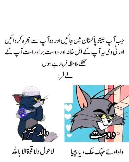 Memes & Satire image
