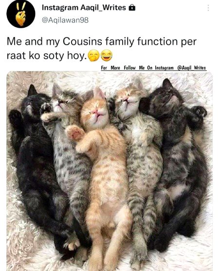 Memes & Satire image