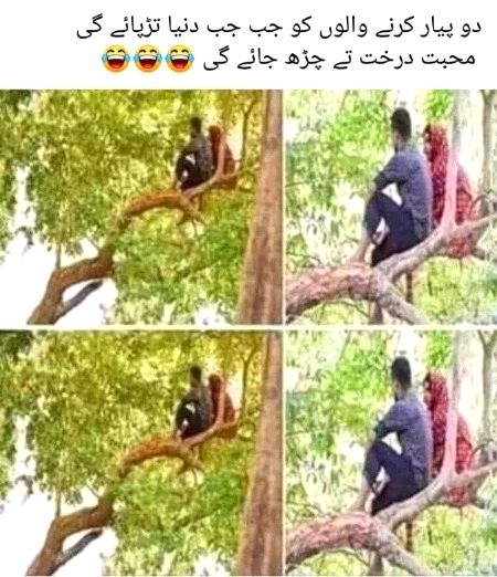 Memes & Satire image