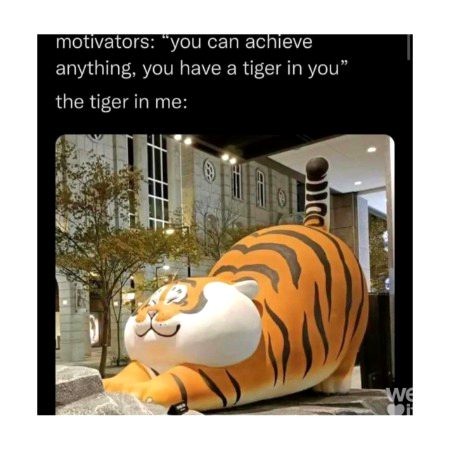 Memes & Satire image