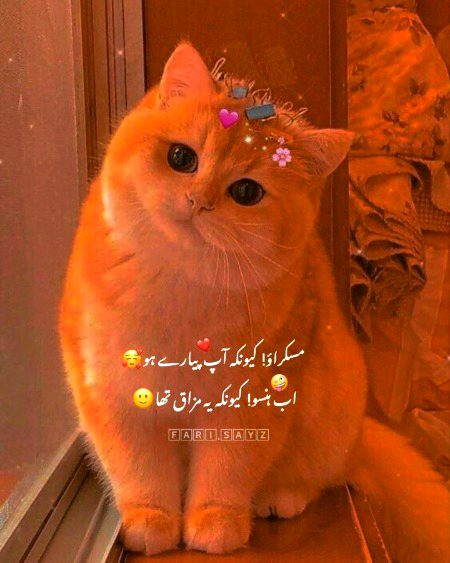 Jokes image