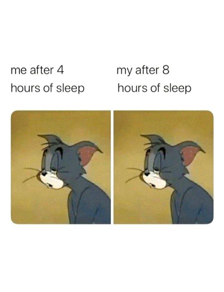 Memes & Satire image