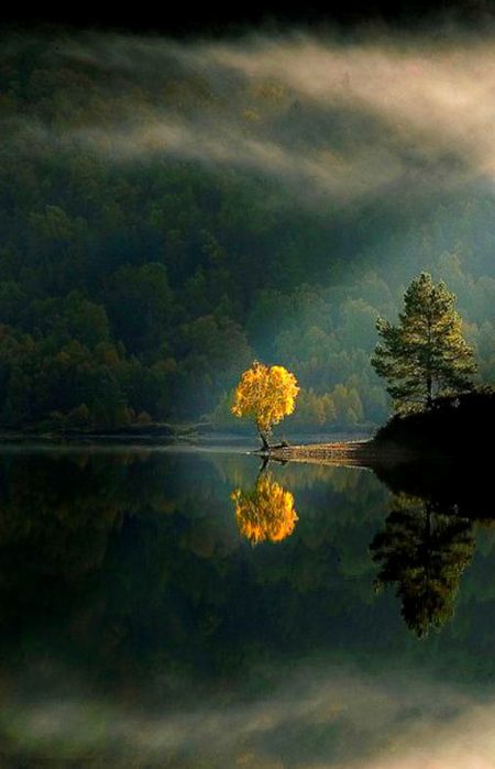 Beautiful Nature image