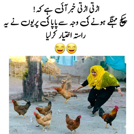 Memes & Satire image