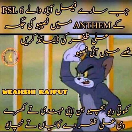 Memes & Satire image