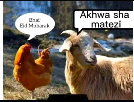 Funny joke