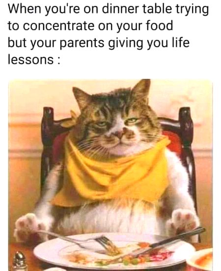 Memes & Satire image