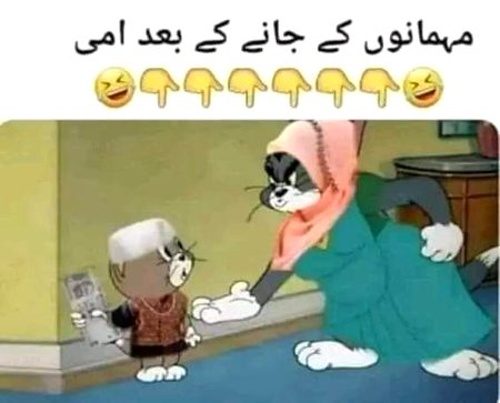 Memes & Satire image
