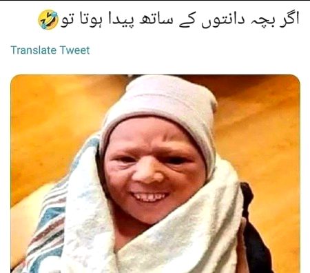 Memes & Satire image