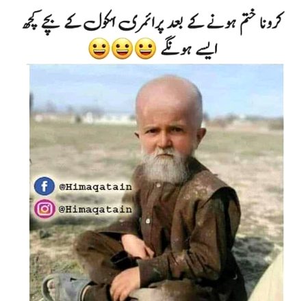 Memes & Satire image