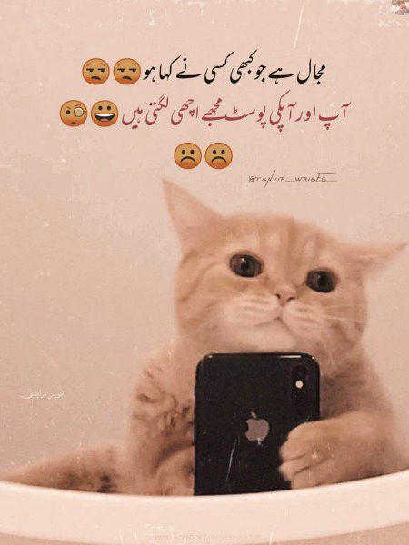 Jokes image