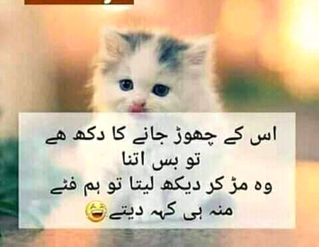 Funny joke