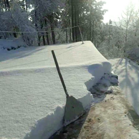 Beautiful Nature image