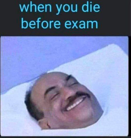 Memes & Satire image
