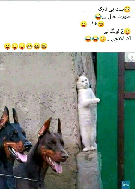 Jokes image