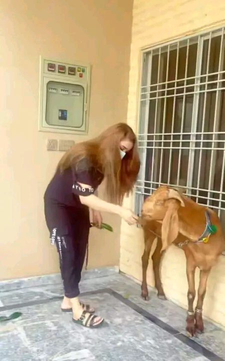 Beautiful People image