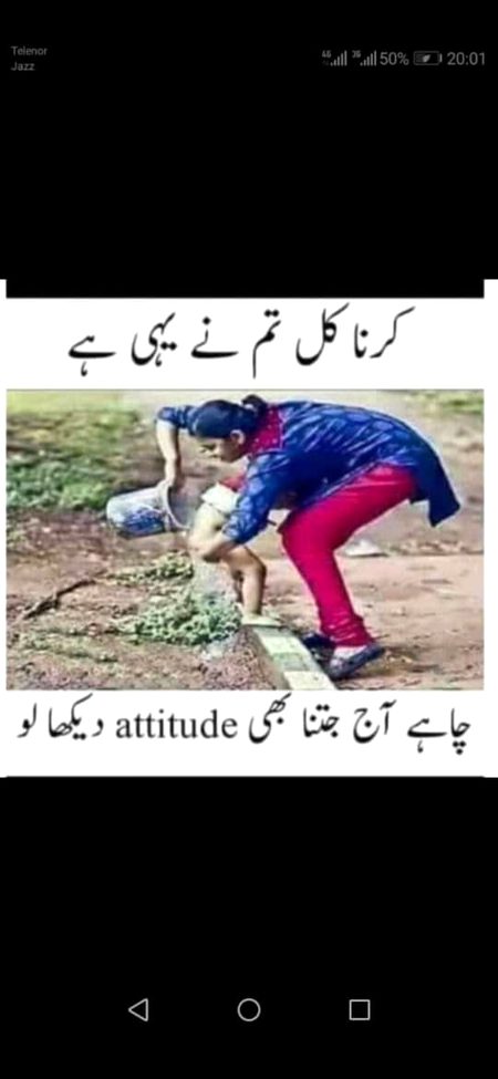 Memes & Satire image