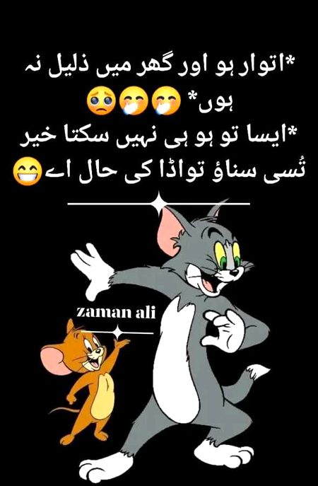 Memes & Satire image
