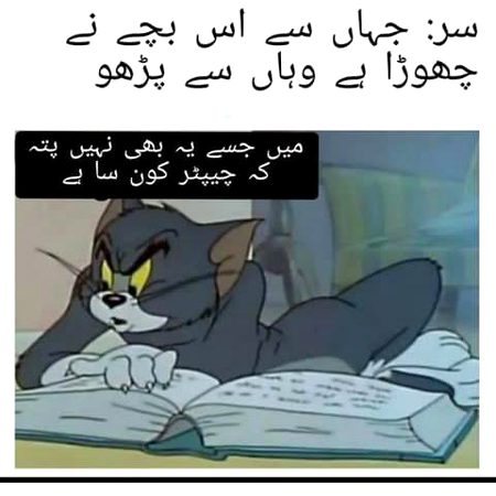 Memes & Satire image