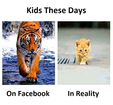 Memes & Satire image