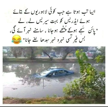 Memes & Satire image