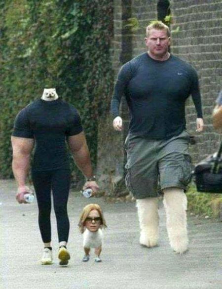 Memes & Satire image