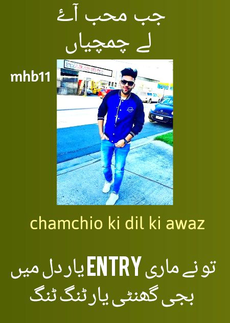 Damadam Roasting image